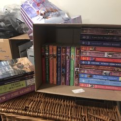 Fiction Book Lot