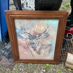 Vintage Deer Pic