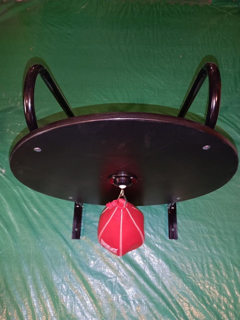 Speed Bag With Wall Mount