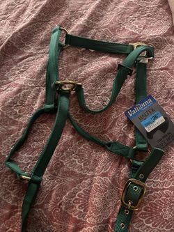 Horse Halter