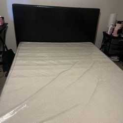 Bed Frame 