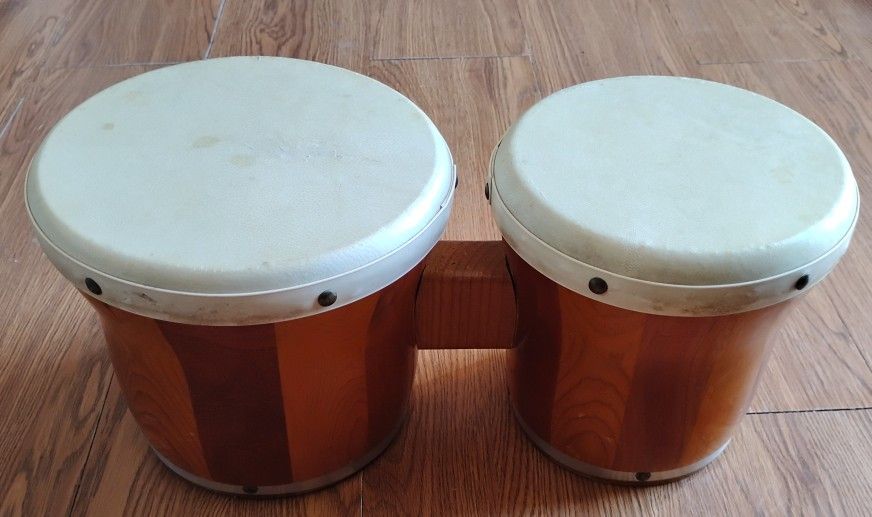 Bongo Drums