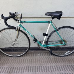 Vintage Nushiki sport Road Bike