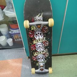 Skateboard Have Two Of Then For 25 DOLLARS