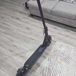 E Sport Scooter