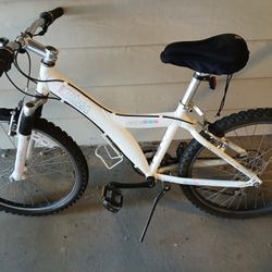24" Giant  Multi-speed Bike