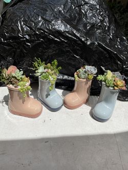 Boot succulent decoration