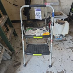 Ladder Werner