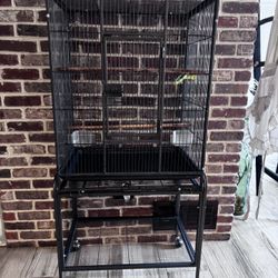 Birds Cage