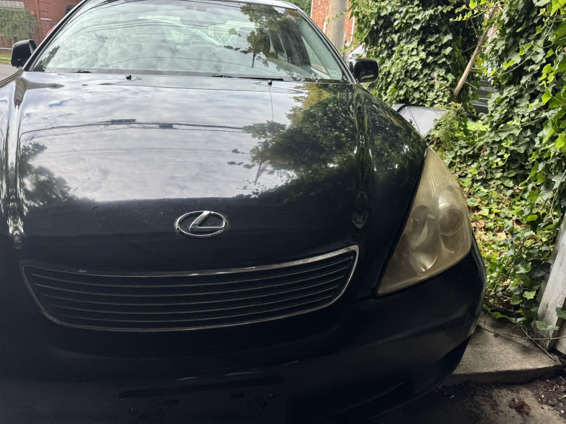 2005 Lexus ES 330