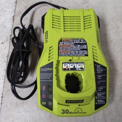 RYOBI P117 ONE+ 30 Minute INTELLIPORT Fast Battery Charger