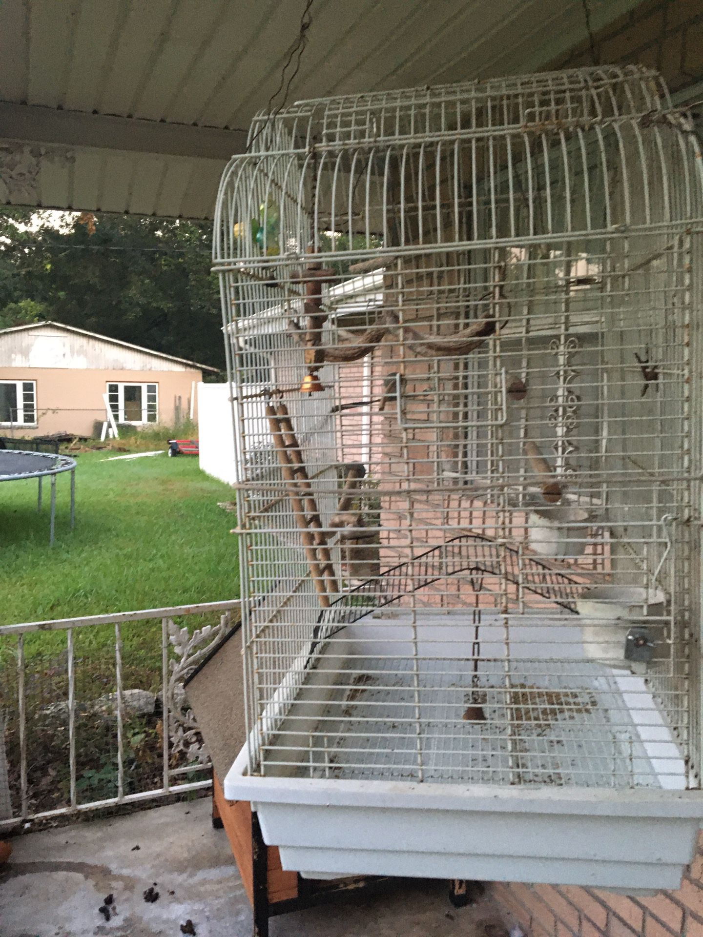 Huge bird cage