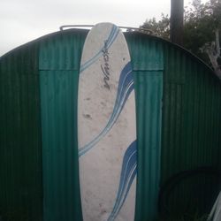 Wave Storm Surfboard