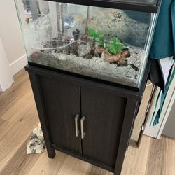 Two 20 Gallon Fish Aquariums And Stand