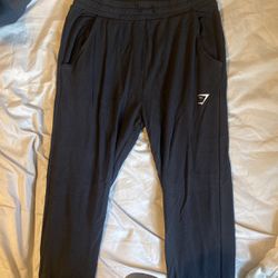 Womens Joggers (Large)