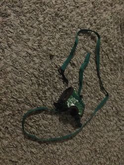 A Guinea pig, and other small pet leash.