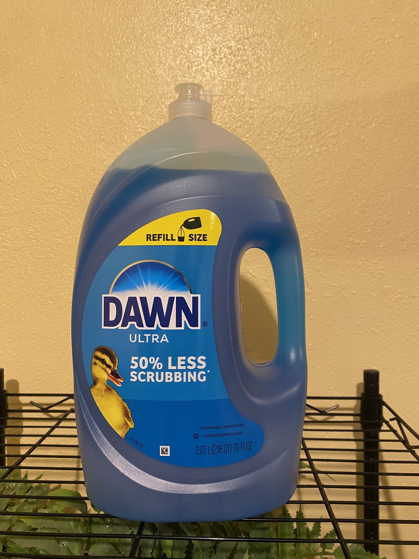 Dawn Dishwashing
