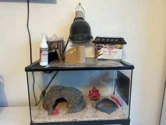Reptile Habitat