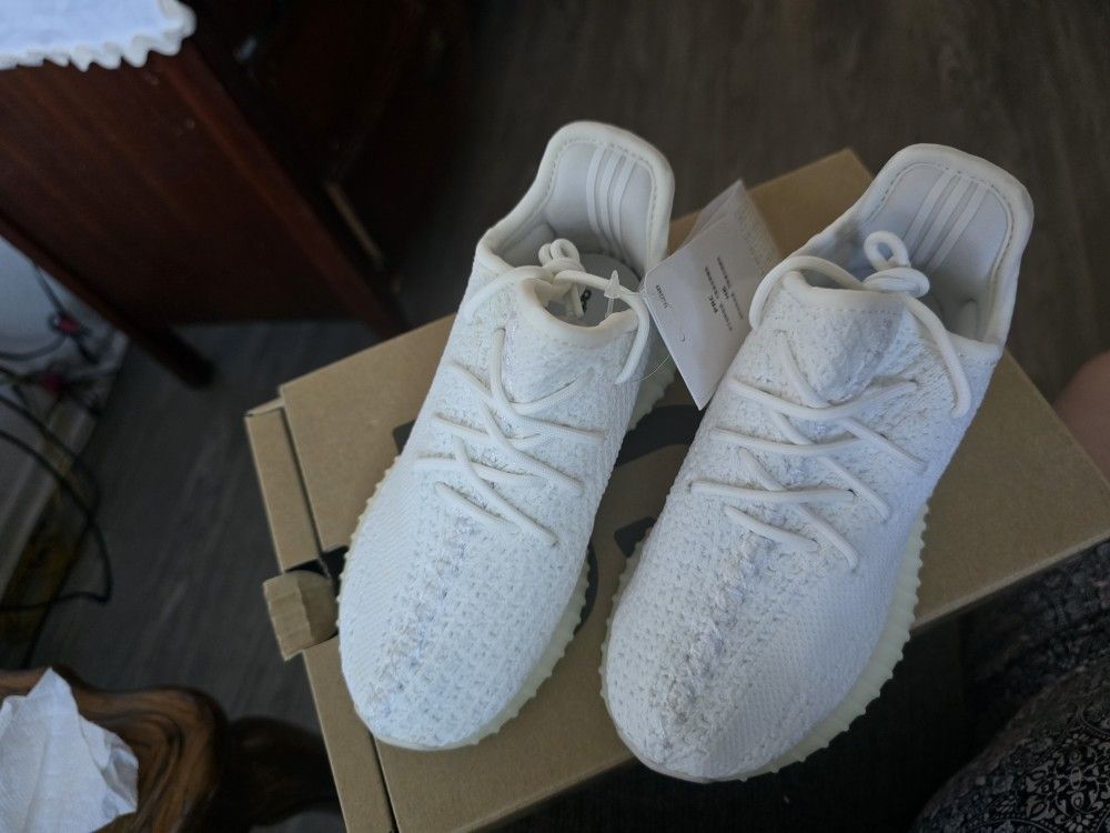 Yeezy 350