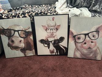 Farm Animal Pictures