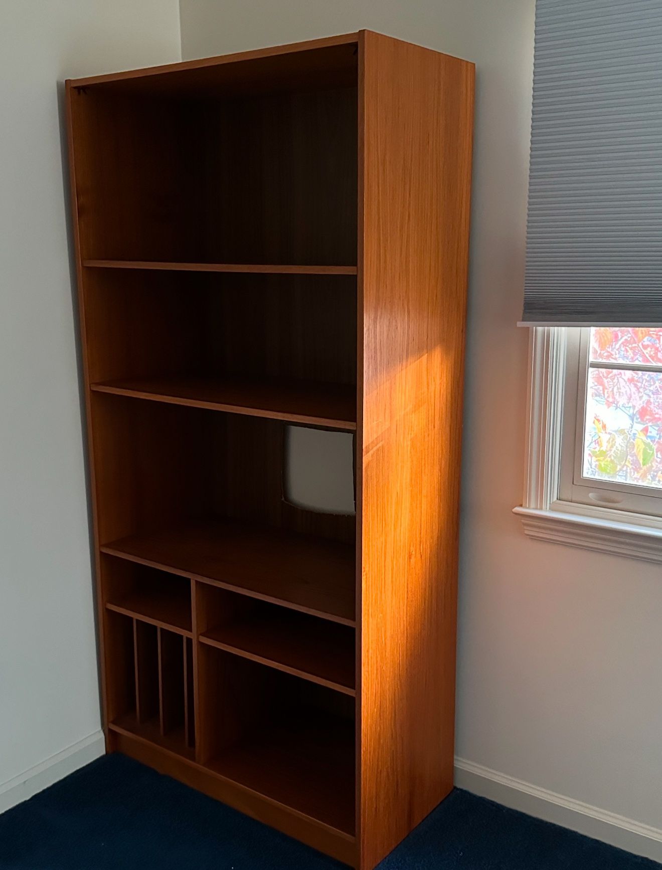 Book Shelf / Audio System Cabinet
