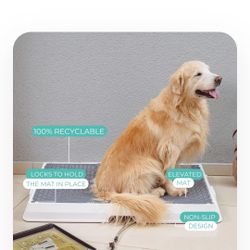 Weazy  Smart Pet Potty