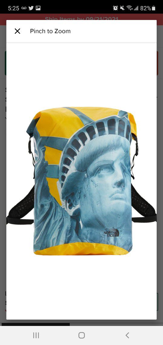 Supreme TNF Statue of Liberty Waterproof Backpack