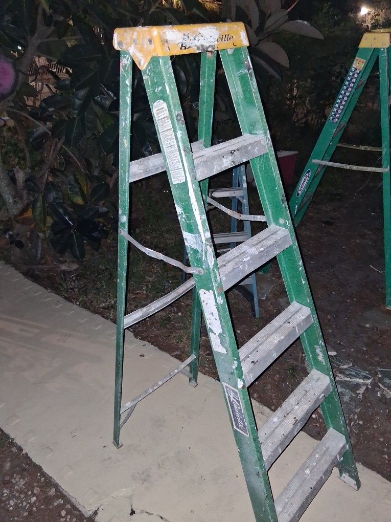 Werner 6 Foot Ladder
