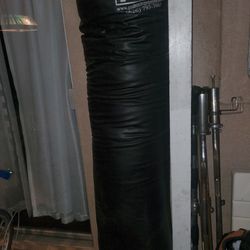 Pro Punching Bag
