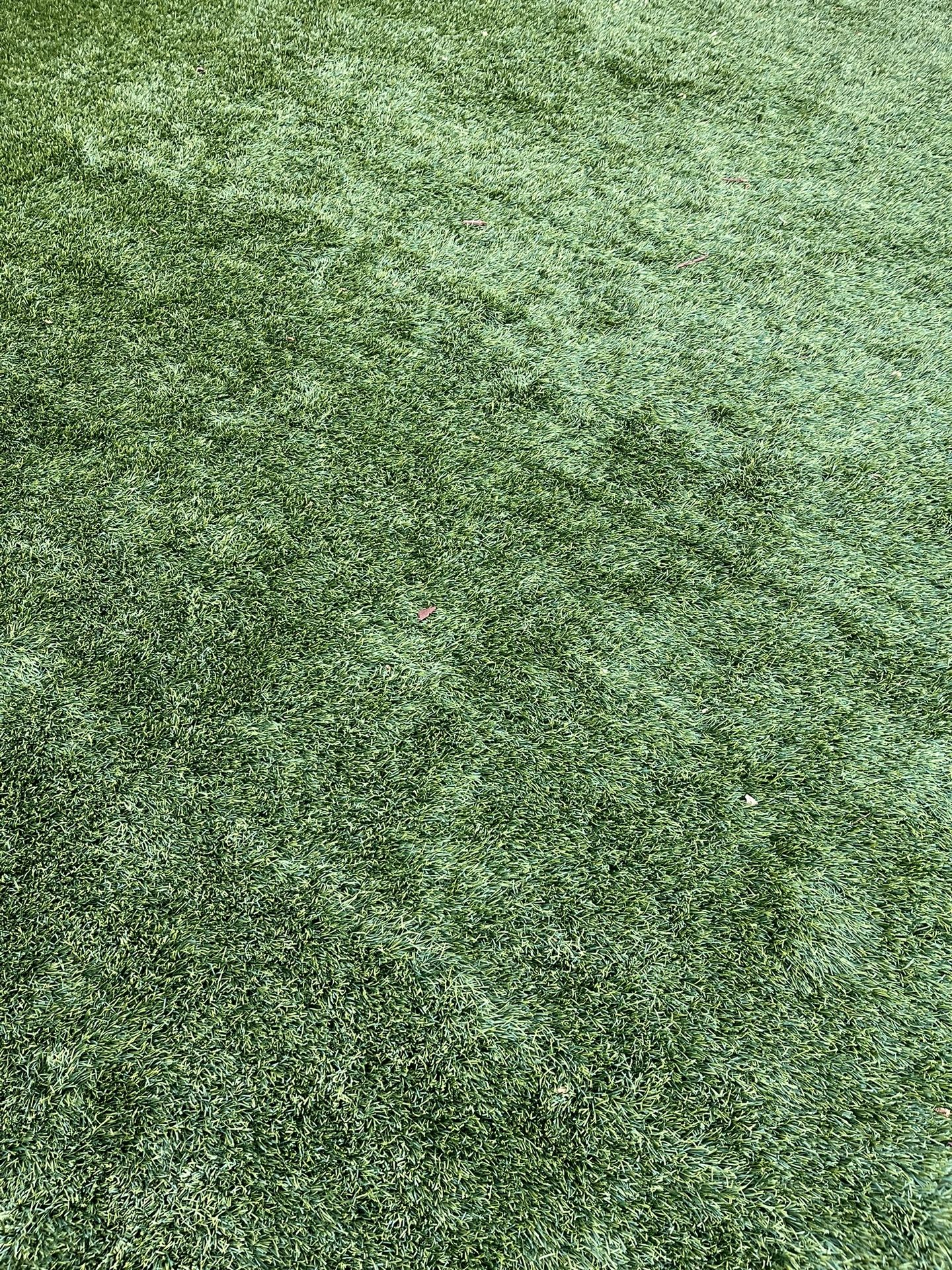 Artificial Turf