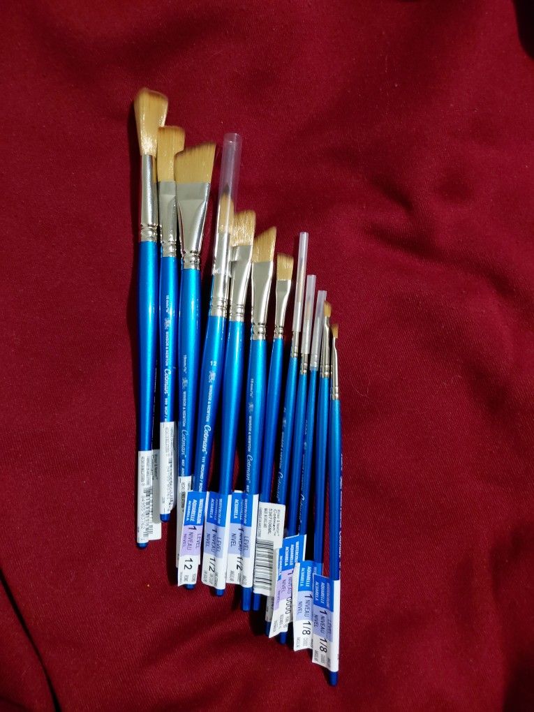 Windsor & Newton Cotman Brushes x12