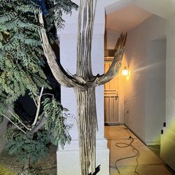 Saguaro Cactus Skeleton Yard Art !!!!