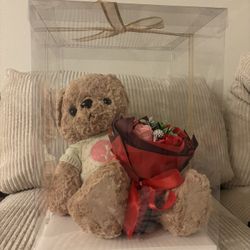 Valentines Bear Light Up