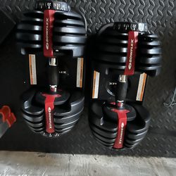 Bowflex SelectTech Adjustable Dumbbell Pair