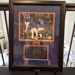 Chicago Cubs 2016 World Series Celebration 16x20 Photo Professional Framed Plate