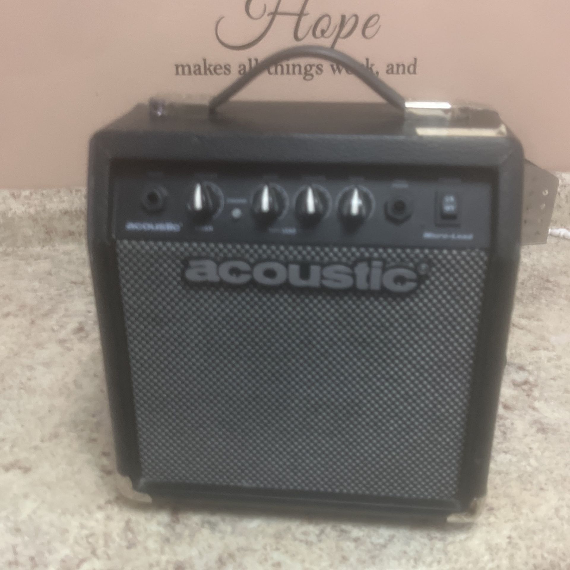 Acoustic Mic/Guitar Speaker