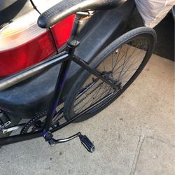 Fixed Gear Bike
