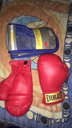 everlast boxing gloves