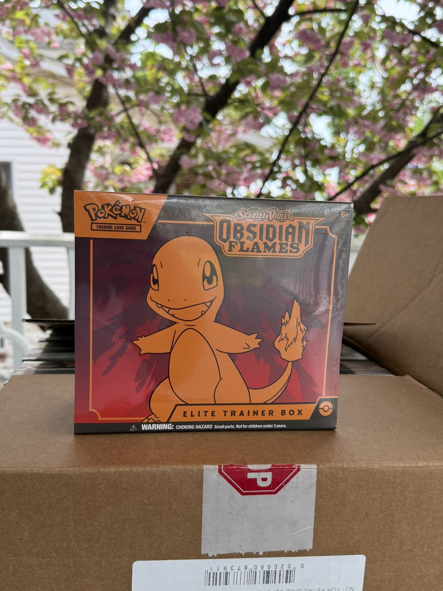 Obsidian Flames ETB New