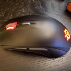 Steel Series Mouse And Keyboard 