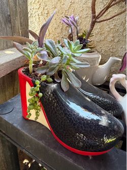Heel succulent planter