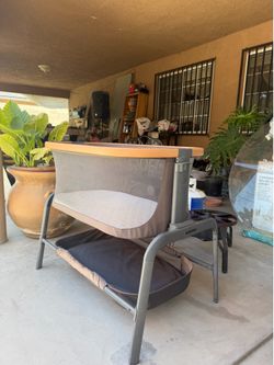 Bassinet