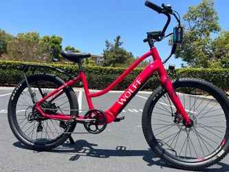 Wolff URSA e bike.