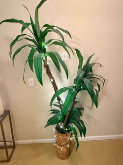 Large Artificial Yucca Tree with Lights