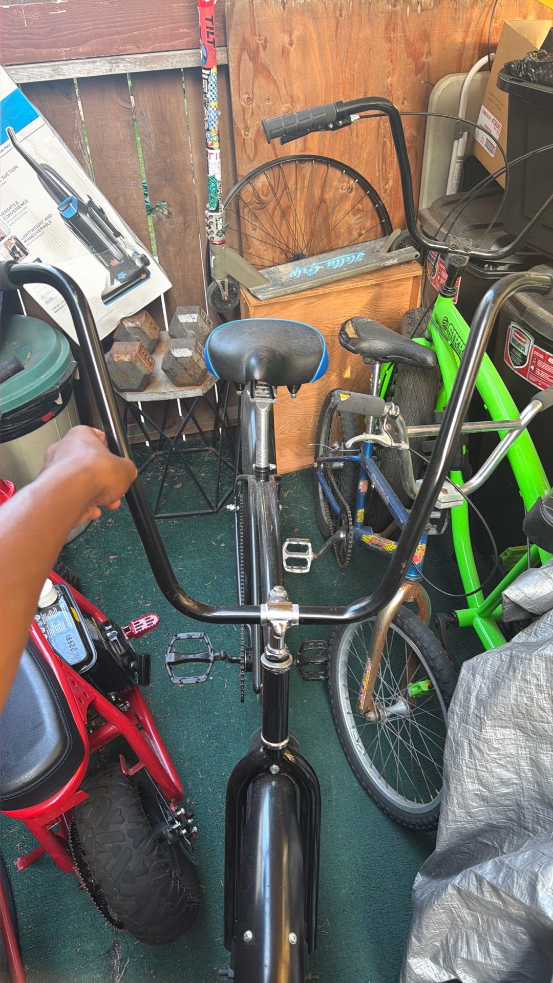 new blue beach cruiser