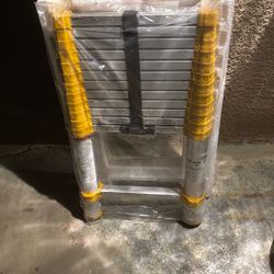 Ladder Telescoping
