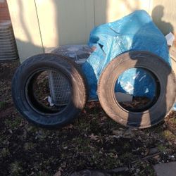 Scorpion Tires