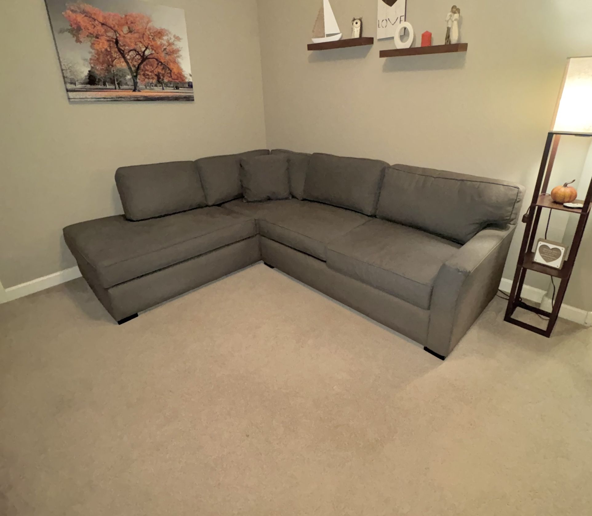 Couch with pull out bed