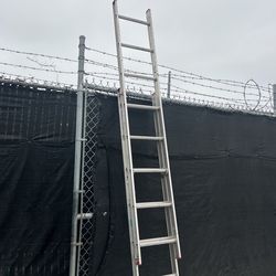 Werner 16ft Ladder