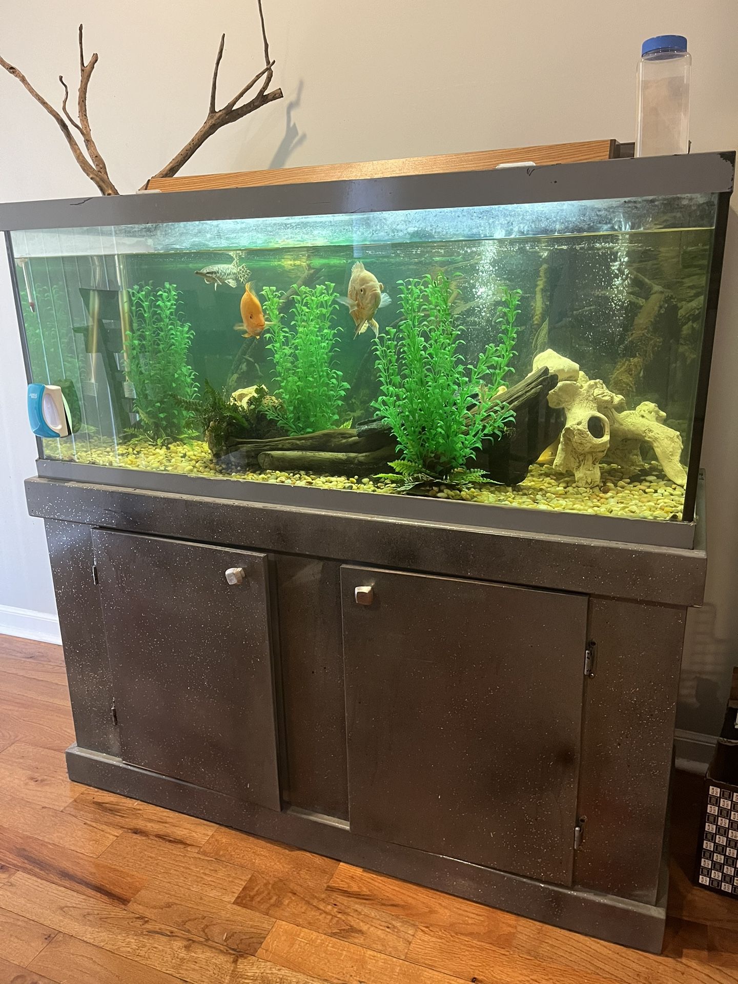 Fish Tank With Stand And Decor